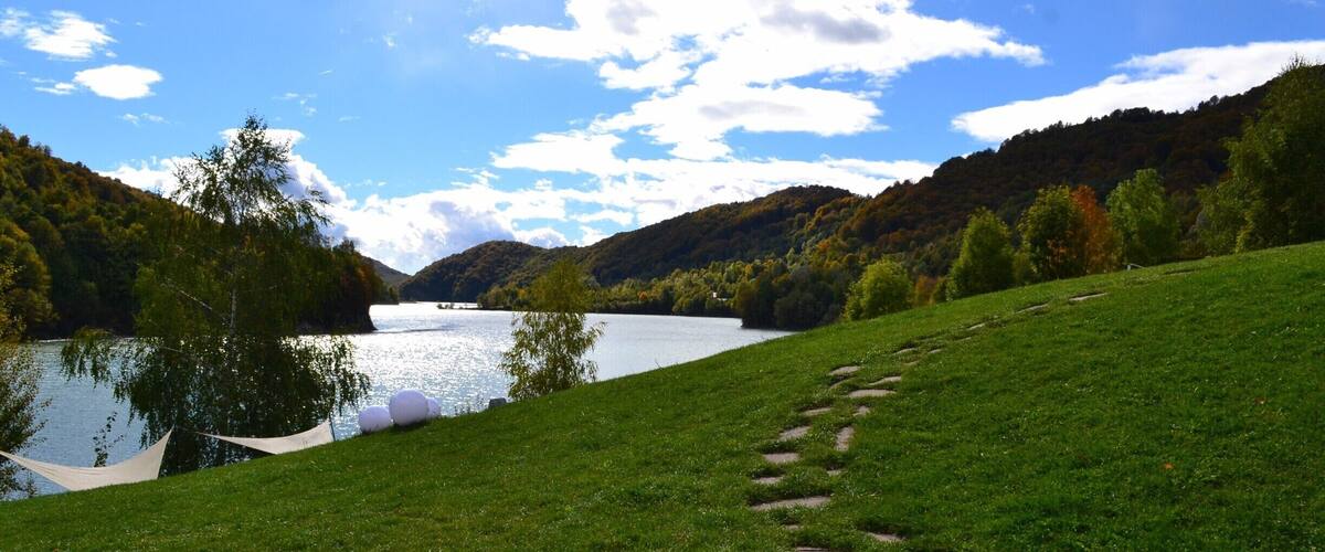 A grassy hillside with a lake and a forested mountain in the background.