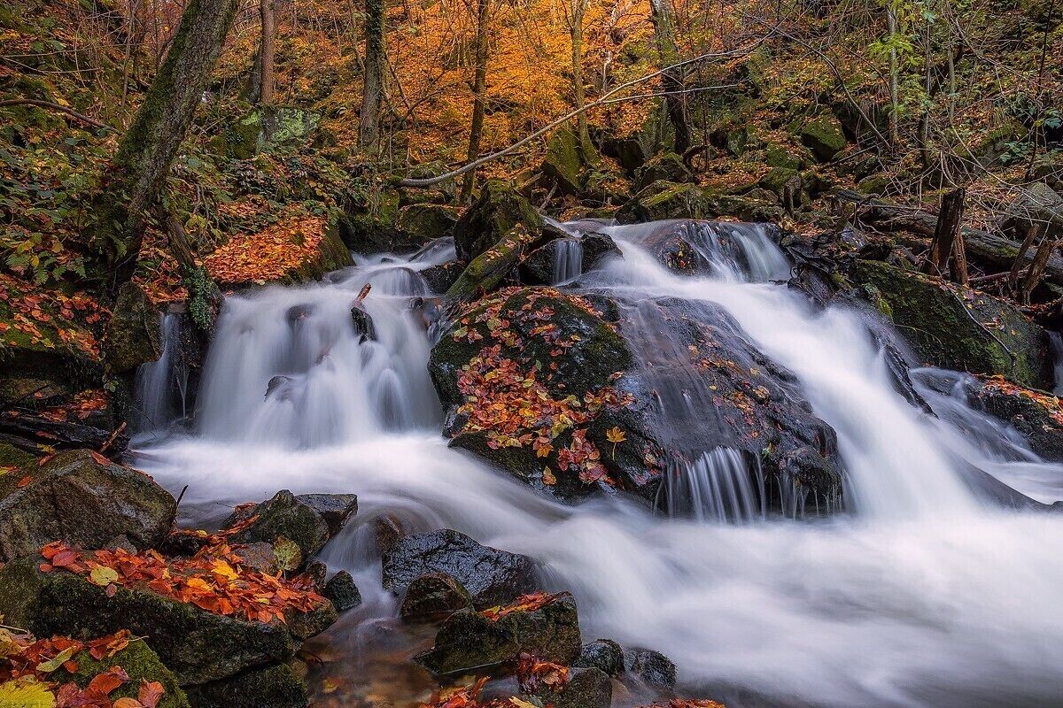 Another rapids at bistrica gorge witch is full of rapids and its very beautiful.
Uploaded for a contest #BvSWater
