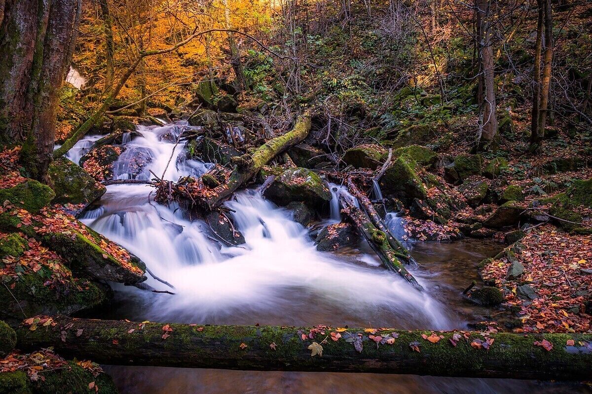 Rapids at stream bistrica in bistrica gorge near slovensak bistrica in slovenija.
Uploaded for a contest #BvSWater