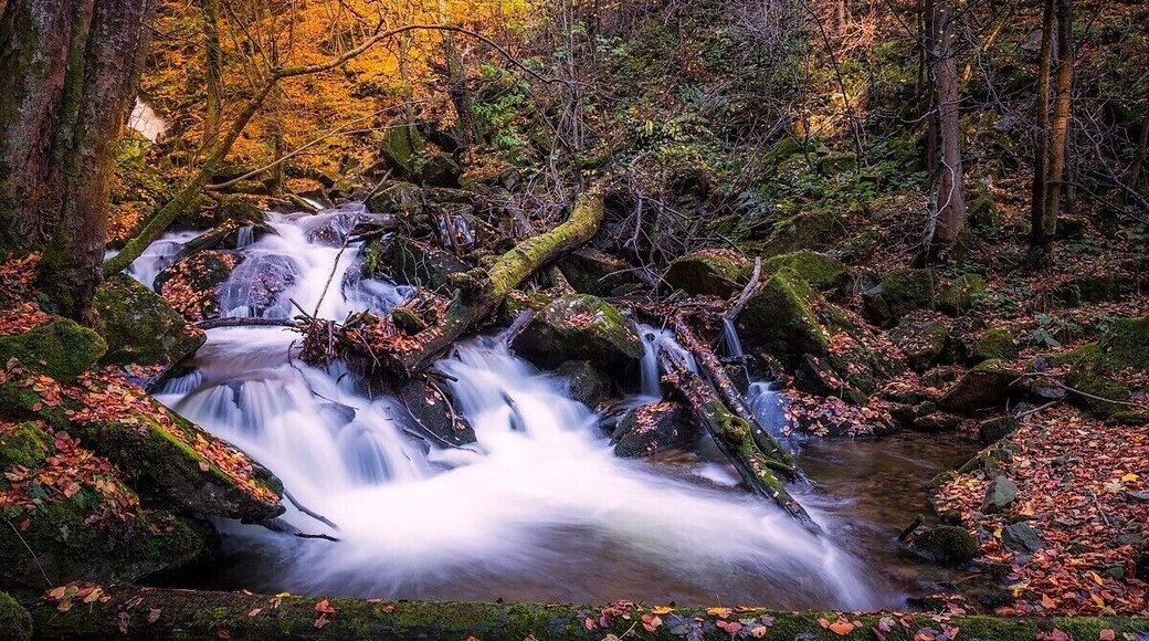 Rapids at stream bistrica in bistrica gorge near slovensak bistrica in slovenija.
Uploaded for a contest #BvSWater