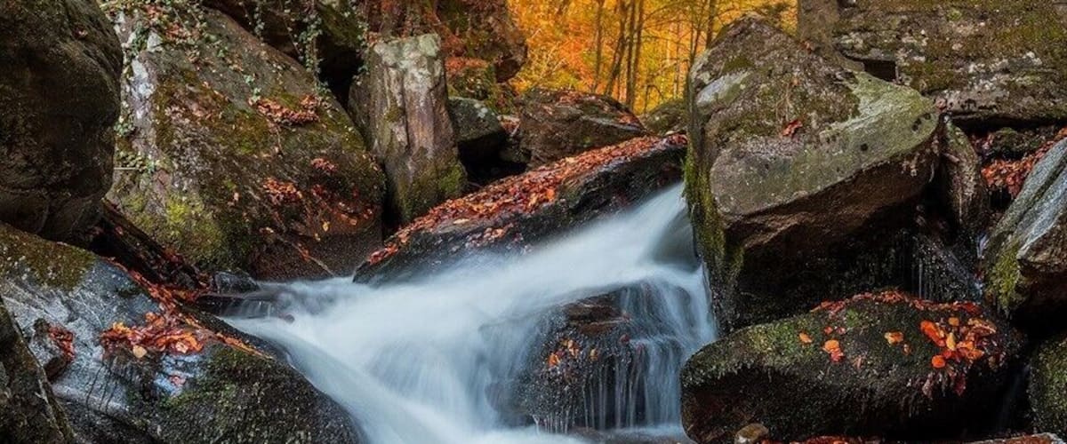 Another photo of rapids in Bistrica gorge.
Uploaded for a contest #BvSWater #golden #autumn #stream