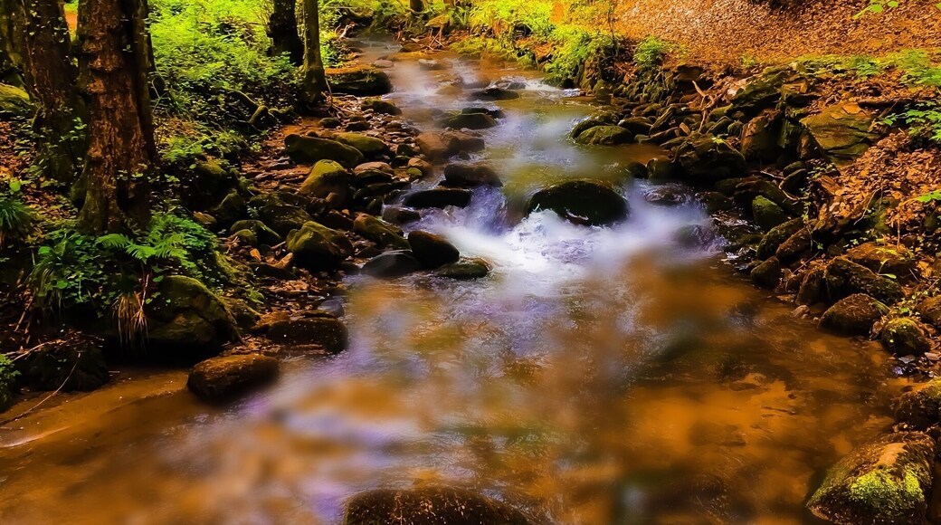 This photo was actually taken in May, but I just love it. It was one off my last hikes before I left Slovenia. It's a nice hike trough a forest path up the stream. After a half hour you see a waterfall hidden in the forest. You can go back or if your still full of energy go forward all the way to Sveti trije Kralji witch is another hour and half walking.