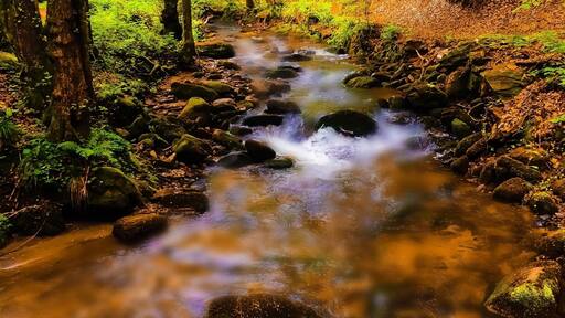 This photo was actually taken in May, but I just love it. It was one off my last hikes before I left Slovenia. It's a nice hike trough a forest path up the stream. After a half hour you see a waterfall hidden in the forest. You can go back or if your still full of energy go forward all the way to Sveti trije Kralji witch is another hour and half walking.