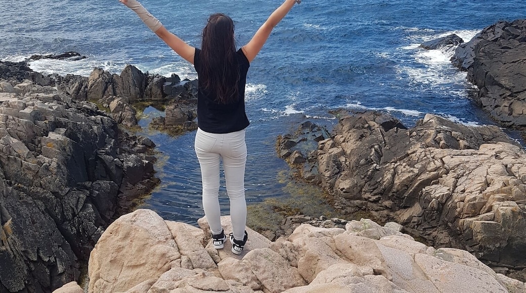 This is in Sweden, a place called Kullaberg right outside of Helsingborg. Here you can hike and climb on the cliffs by the ocean. It's very exciting, beautiful but dangerous. Once down, you can have a swim.. where's safe. It doesn't cost anything!