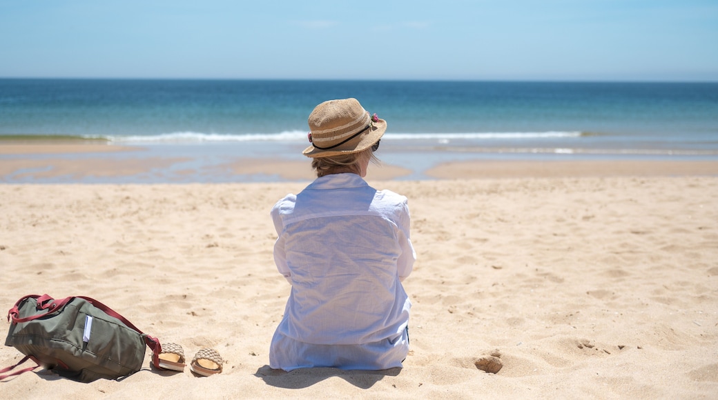 A person sitting on a sandy beach facing the ocean.
