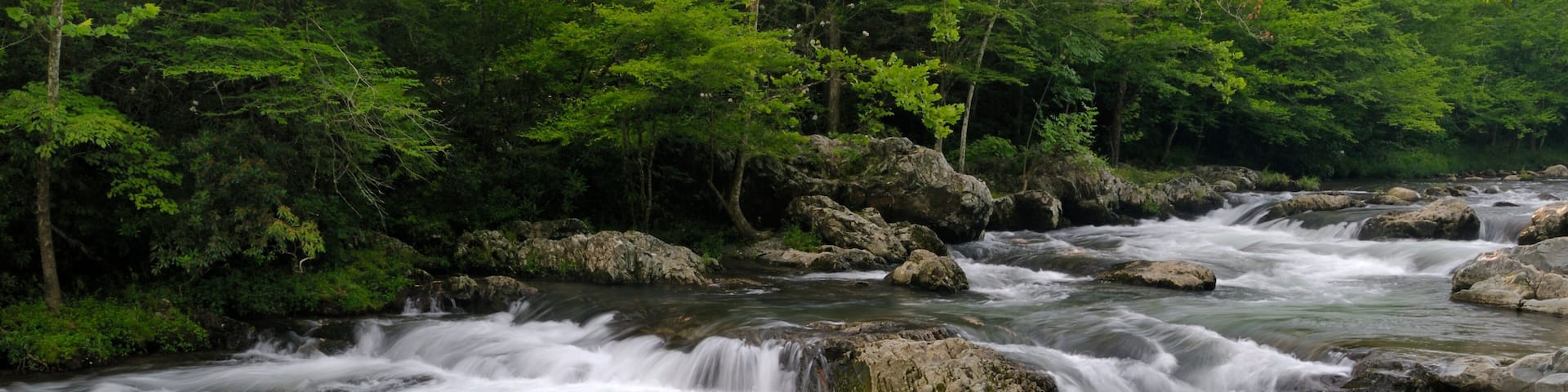 Little Pigeon River in Greenbrier, Smoky Mountains, TN, USA