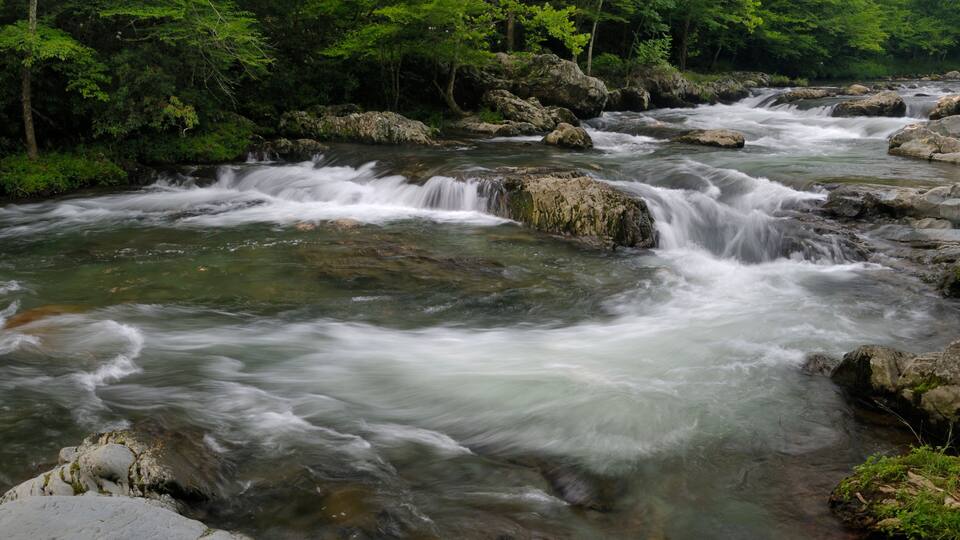 A flowing river with multiple cascades surrounded by dense green foliage.