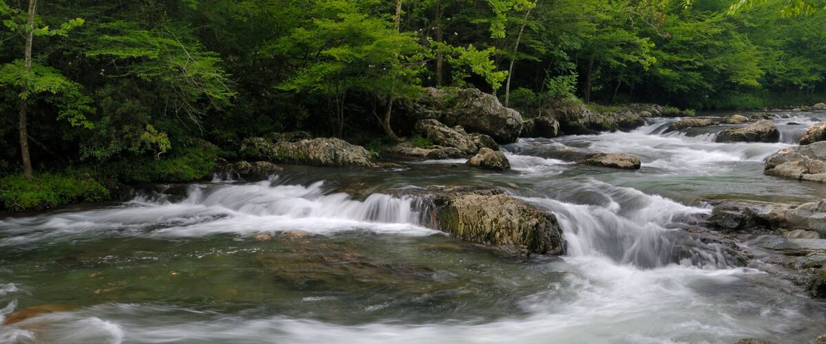 A flowing river with multiple cascades surrounded by dense green foliage.