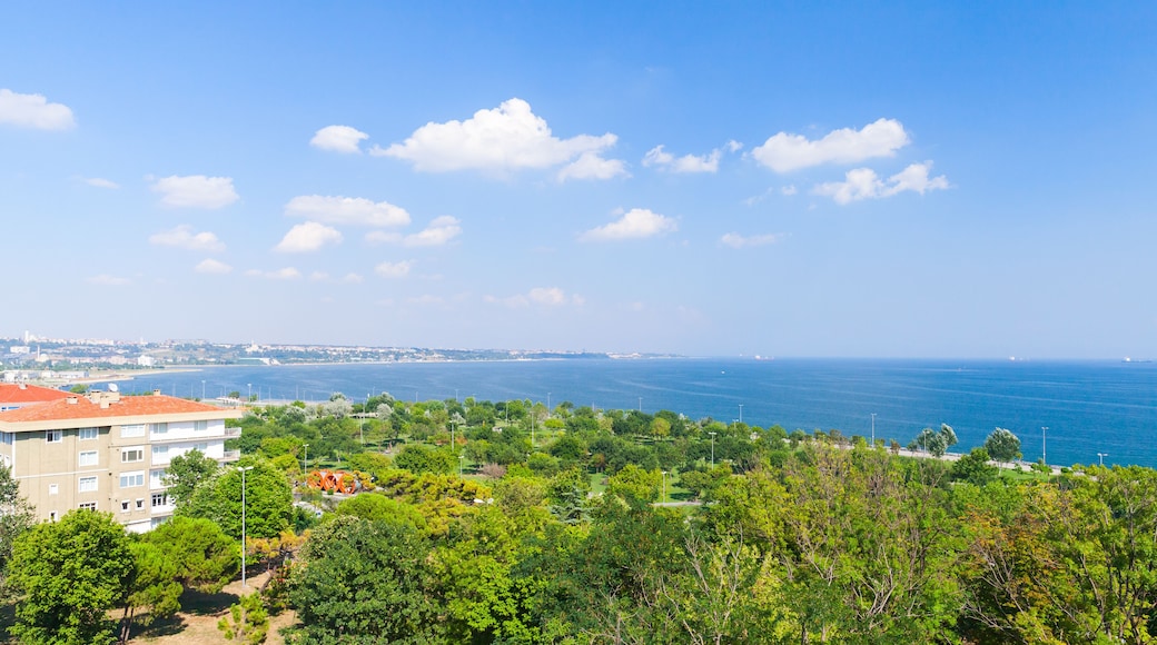 ์๋ธ์ค๋ผ