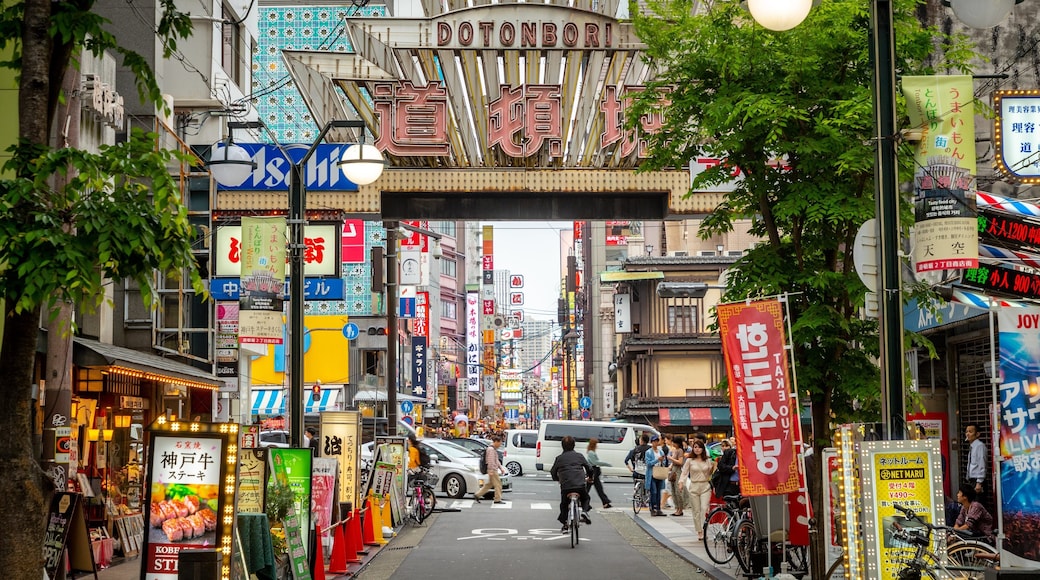 Dotonbori featuring signage, a city and street scenes