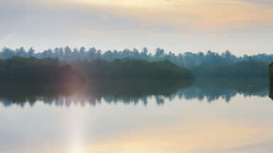 Sunrise at Lake Marawila, Sri Lanka