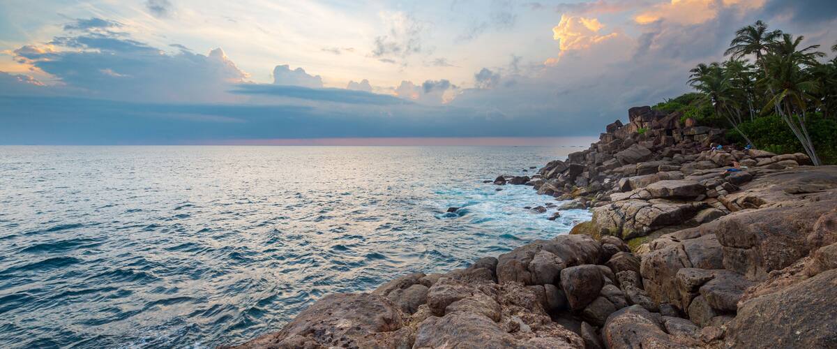 A rocky coastline with palm trees and a calm sea under a partly cloudy sky.