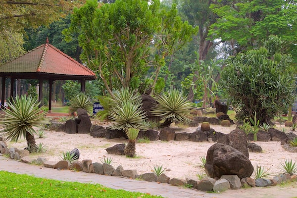 Tao Dan Park mit einem Garten