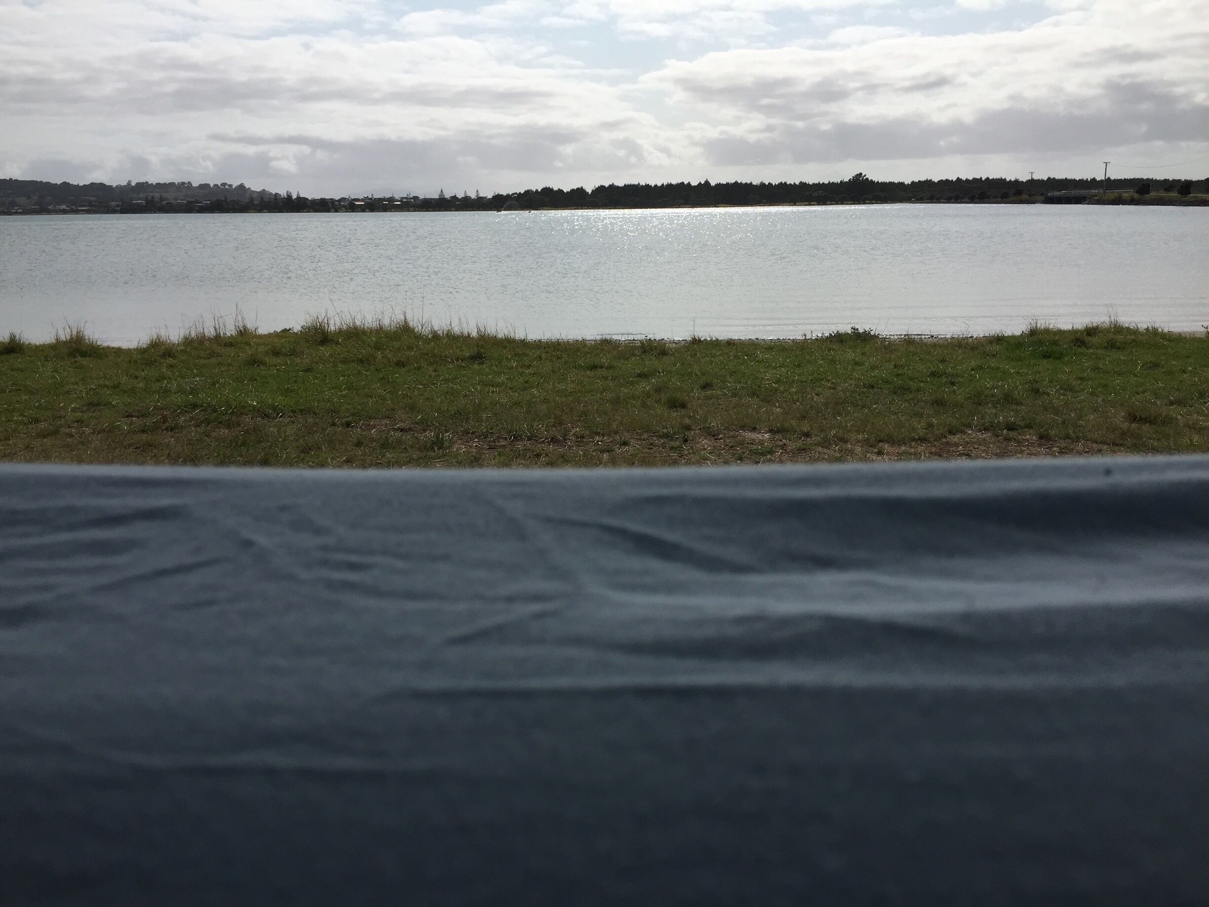 A lake with a grassy shoreline and a distant tree line.