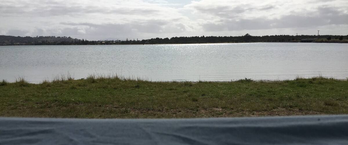 A lake with a grassy shoreline and a distant tree line.
