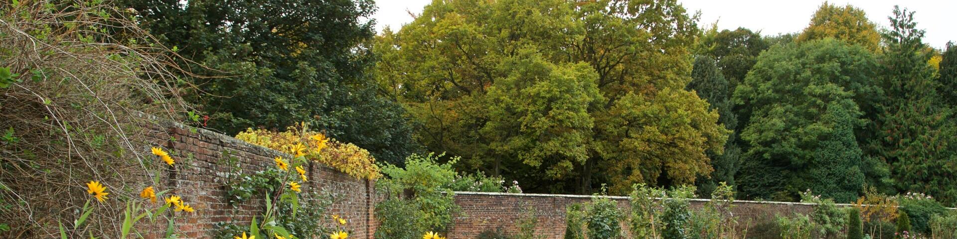 Parc Lydiard qui includes parc et fleurs sauvages