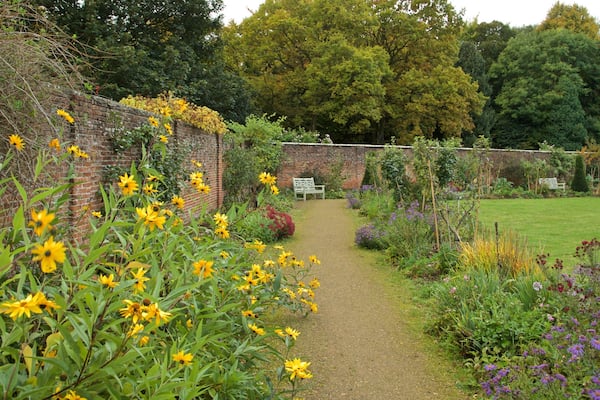 Lydiard Park featuring a park and wild flowers