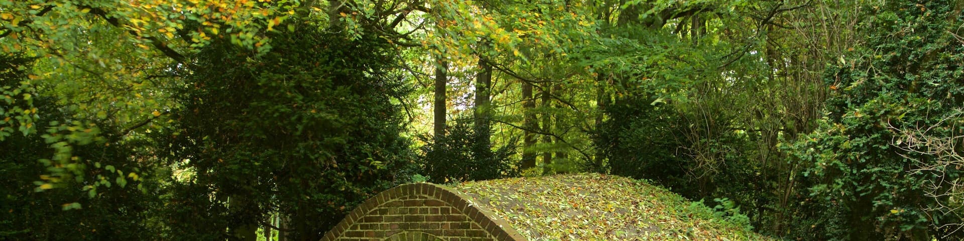 Lydiard Park featuring heritage elements, a garden and fall colors