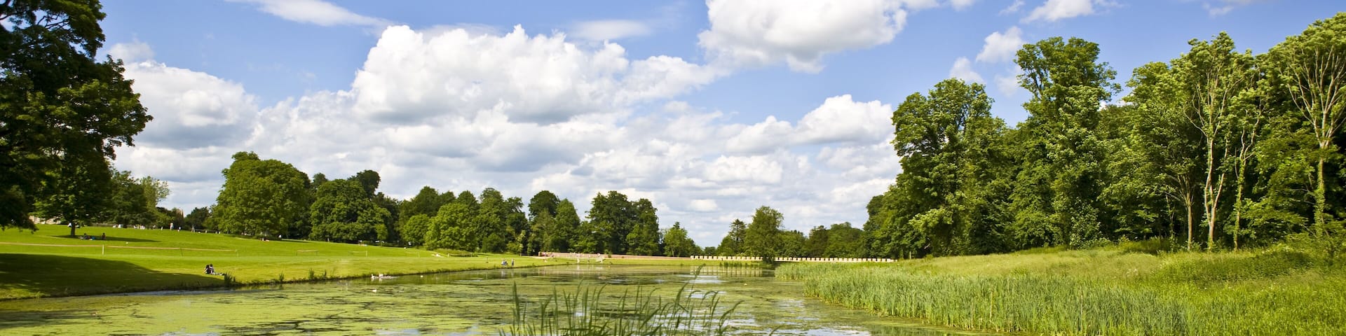 A lush park with a pond, green grass, trees, and a clear blue sky with clouds.