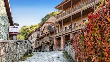 Una calle adoquinada bordeada por edificios de madera tradicionales con balcones, un muro de piedra y árboles al fondo.