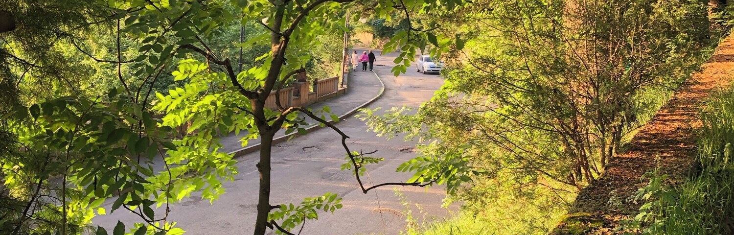 Un camino serpenteante a través de un área boscosa, con una montaña al fondo.