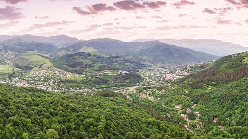 Dilijan