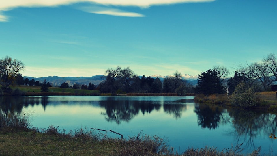 The incredibly stunning Blackmer Lake. Located in a park that is surprisingly rarely visited.
#blue
