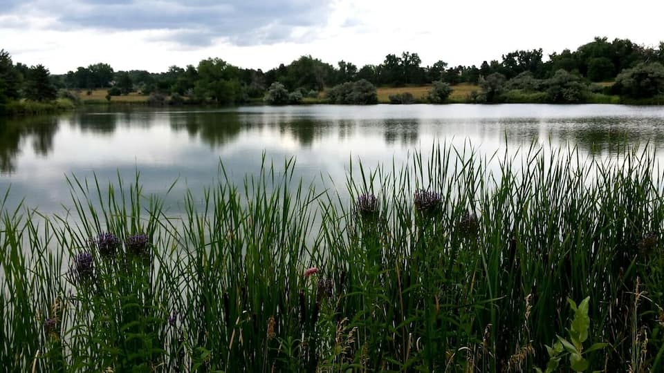 I am almost hesitant to put this beautiful lake up on Trover.
It is such a gorgeous park and lake, great for walking or biking through. For some reason though, there are rarely any people here at all.
