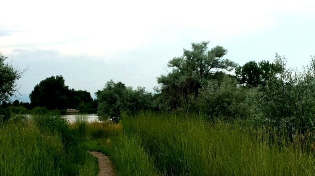 I am almost hesitant to put this beautiful lake on Trover.
It is great for walking or biking through, but for some reason there are rarely any other people here