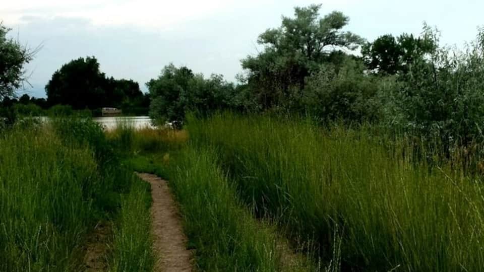 I am almost hesitant to put this beautiful lake on Trover.
It is great for walking or biking through, but for some reason there are rarely any other people here