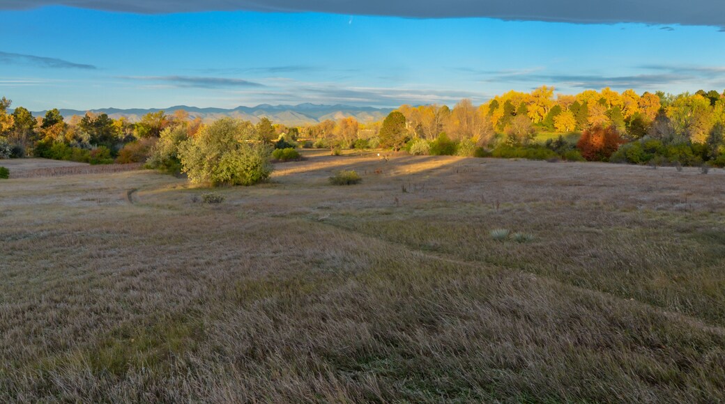 Cherry Hills Village