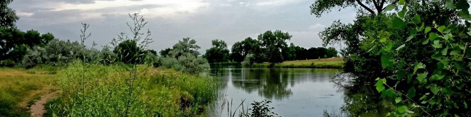 I am almost hesitant to put this beautiful lake up on Trover. 
It is such a great park/lake to walk and bike around, but for some reason there are rarely any other people here. #localgem
#waterlust