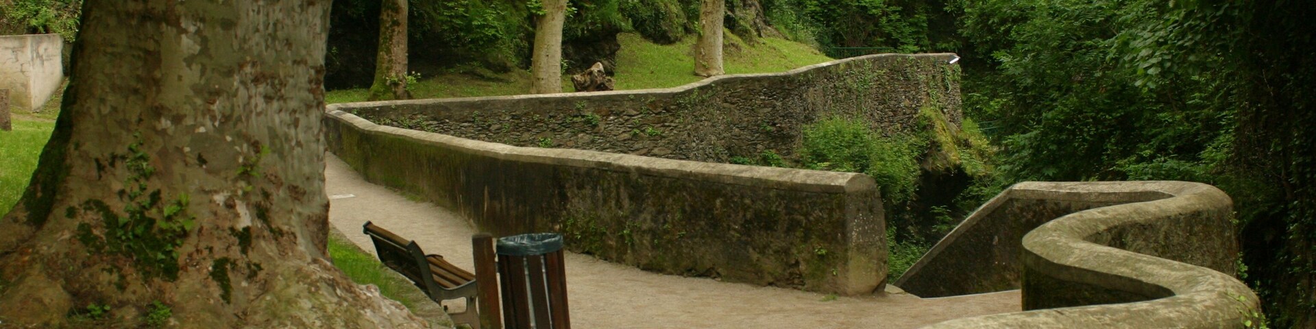Un sendero de piedra en una zona boscosa con un banco y un bote de basura.