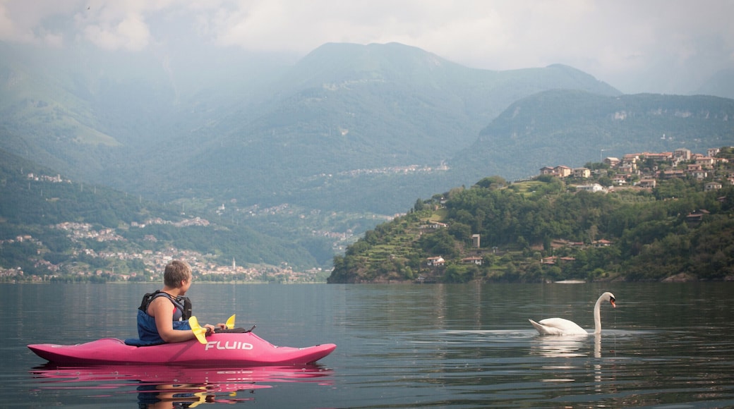 New friendship born in the waters of Lake Como and in the morning coolness.
#BestOf5