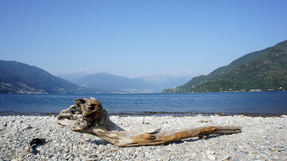 A rocky shoreline with a large log, calm water, and mountains in the background.