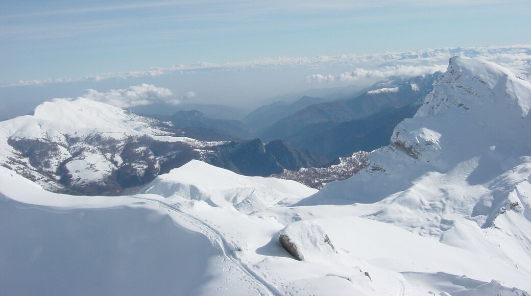 marchisa inverno 2009