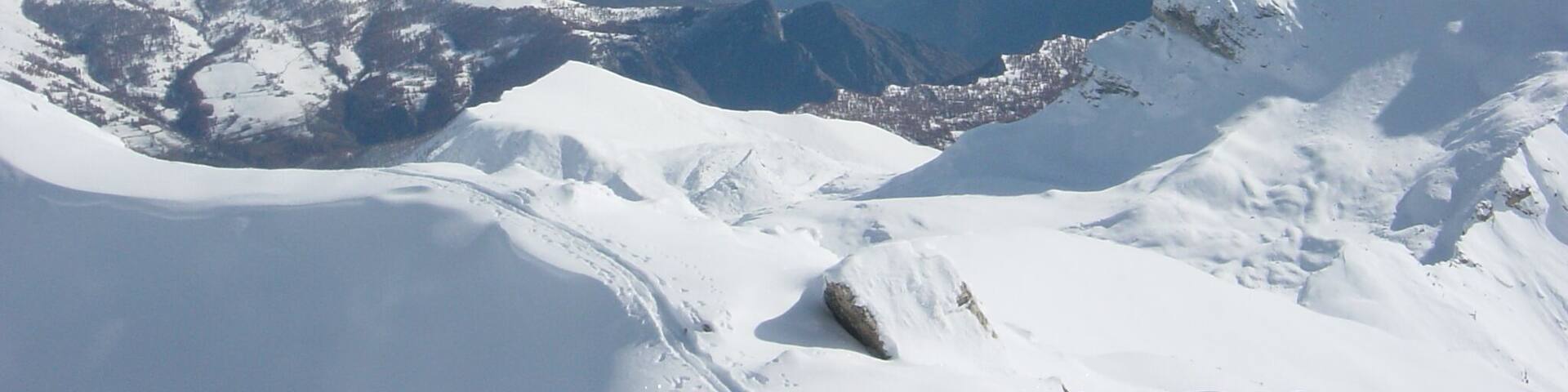 marchisa inverno 2009