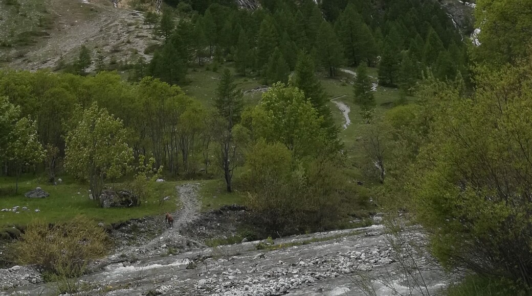 Alte Valli Stura e Maira (Q47364759)