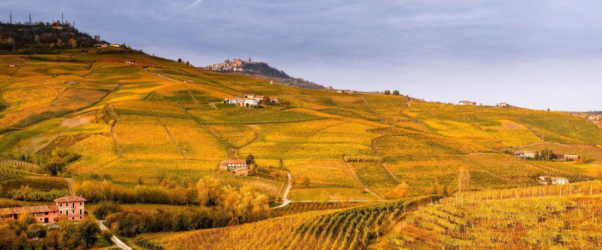 A vineyard landscape with terraced fields, a hilltop building, and scattered houses.