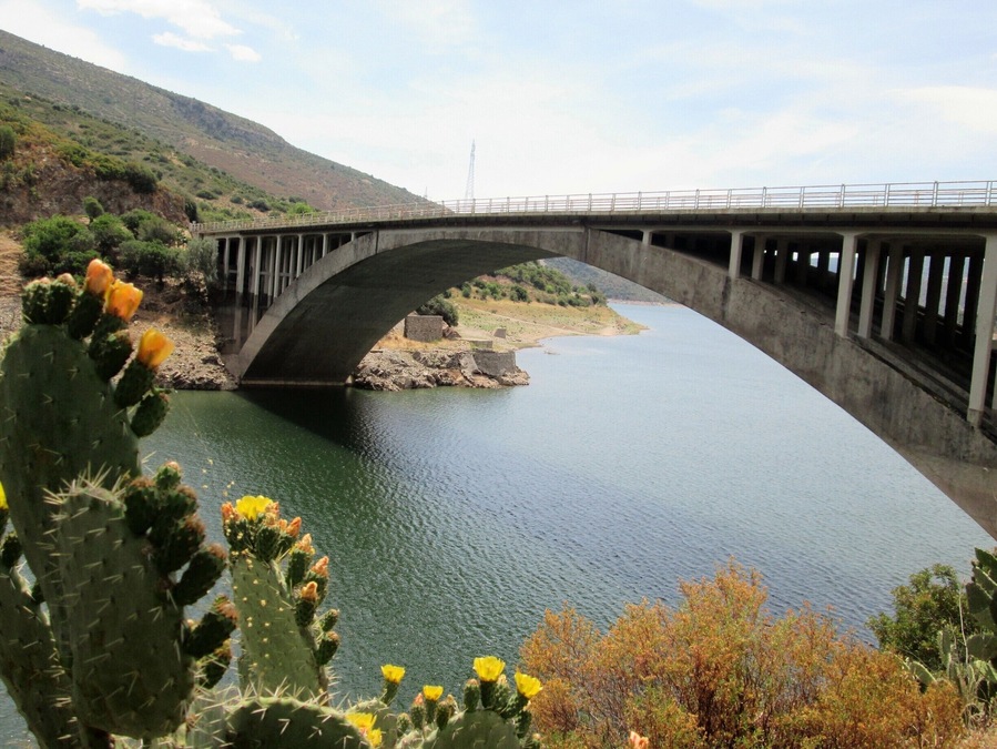 Ponte sul lago Flumendosa - Villanova Tulo