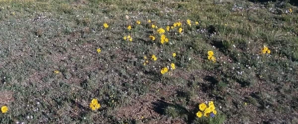 Nice hikes on either side of the pass