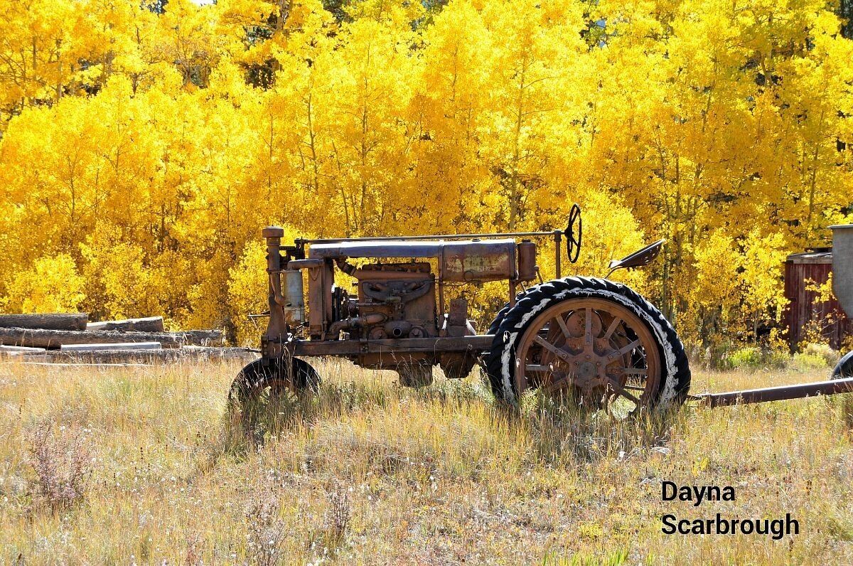 Farm heading up Independence Pass!