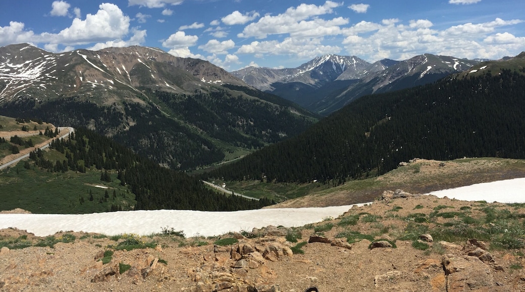 Great stop for a picnic of hard meats and cheeses