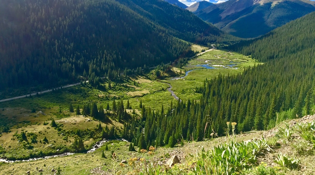 Independence Pass, originally known as Hunter Pass, is a high mountain pass in the Rocky Mountains of central Colorado in the United States. It is at elevation 12,095 ft on the Continental Divide in the Sawatch Range.
#Green