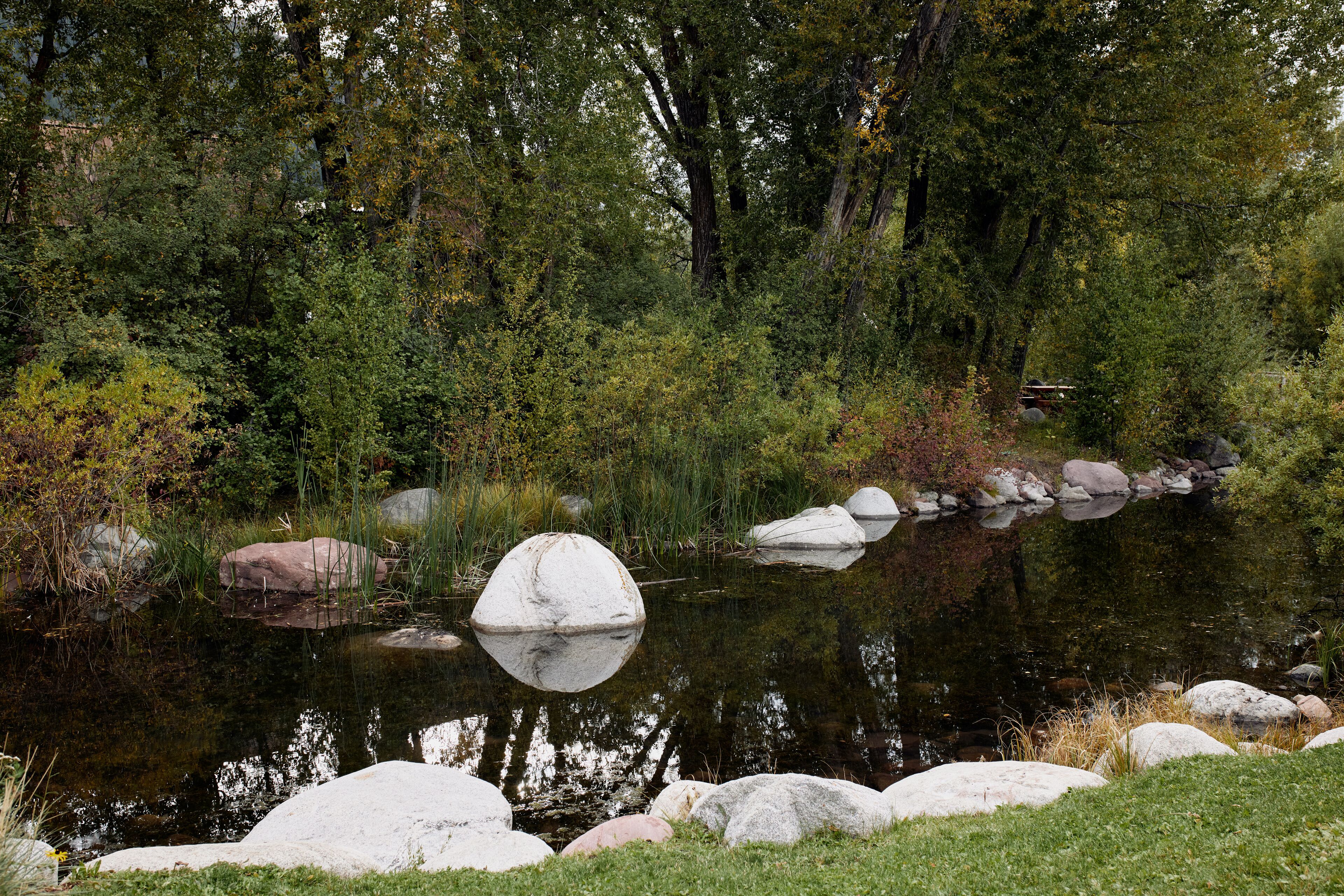 Pond surrounded by rocks and lush trees at the John Denver Sanctuary in Aspen, Colorado
