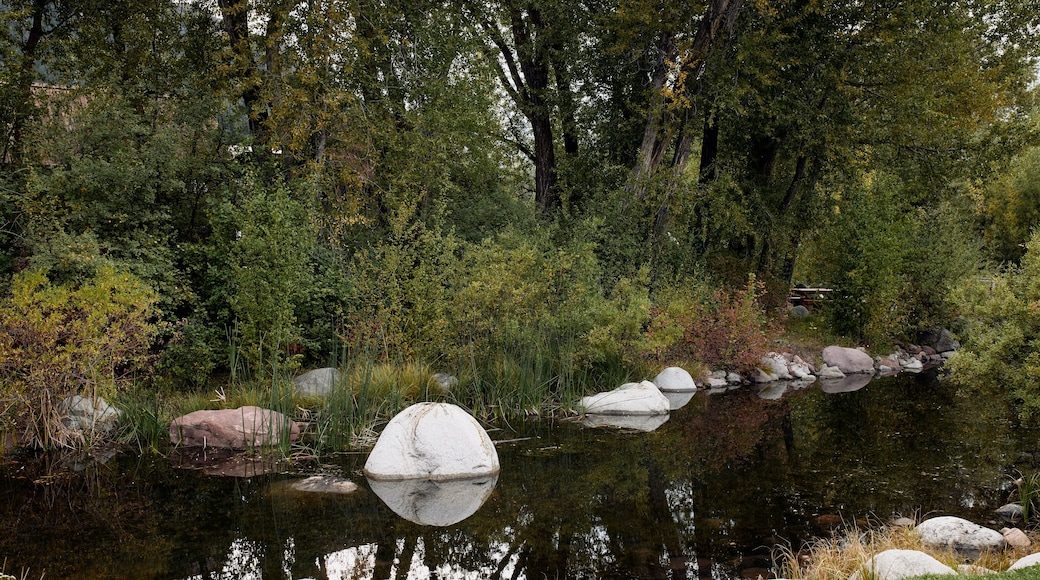 Pond surrounded by rocks and lush trees at the John Denver Sanctuary in Aspen, Colorado