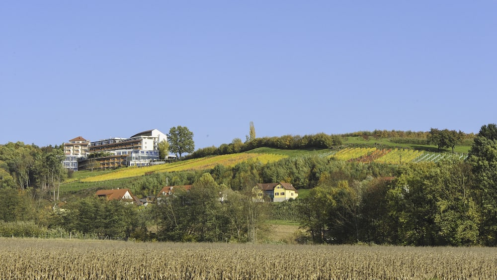 Bad Waltersdorf, Der Steirerhof