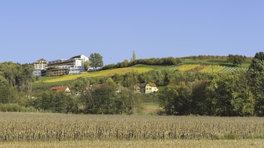 Bad Waltersdorf
