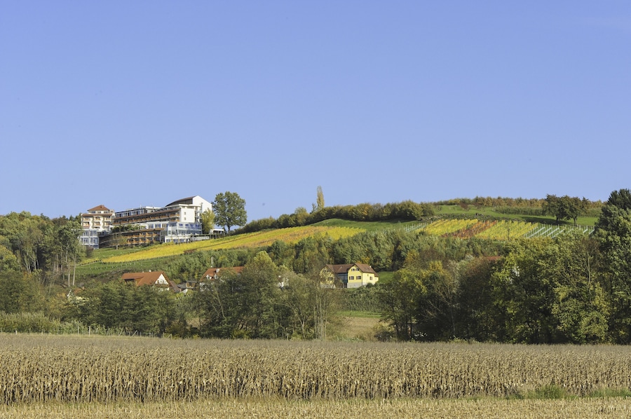 Bad Waltersdorf, Der Steirerhof