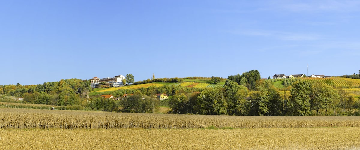A rural landscape with rolling hills, a cornfield, and several houses on the slopes.